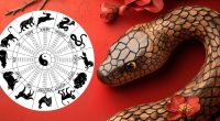 2025: How the Year of the Wood Snake will affect your zodiac sign