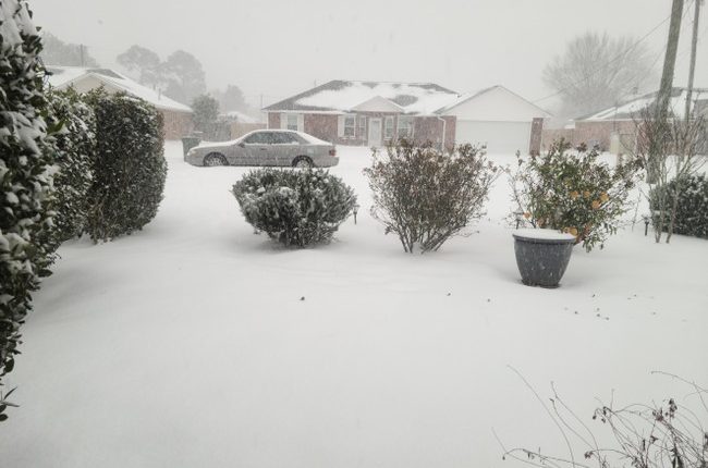 Dateline - Pensacola: Snowmaggedon