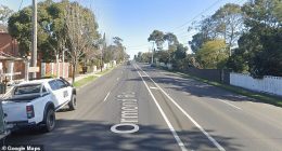 Homicide detectives were called to a house on Ormond Rd in Ascot Vale (pictured) just after 4pm on Friday