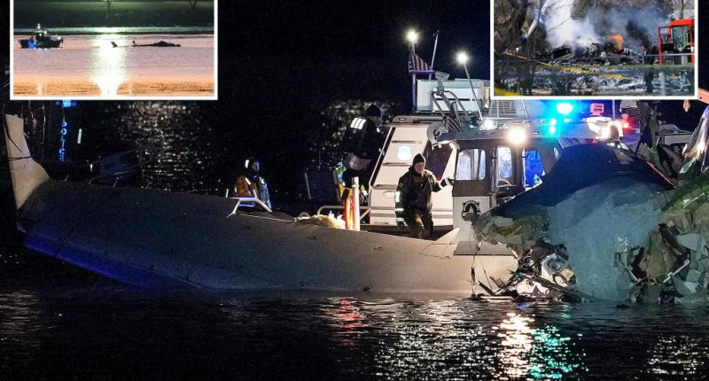 How air safety failures and last-minute mistakes set American Airlines jet, Black Hawk chopper on deadly DC collision course