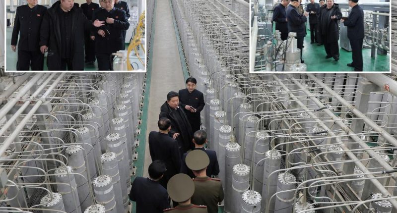 Kim Jong Un inspects nuclear facility as North Korea looks to pressure Trump administration