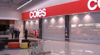 Coles at Yamanto Centre in Brisbane's south-east was closed on Monday night after a female worker was allegedly stabbed in the back (police are pictured at the scene)