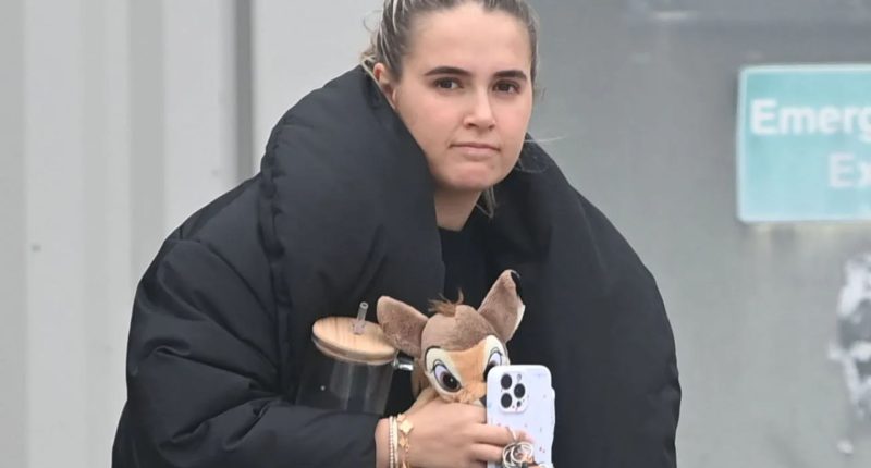 Molly-Mae Hague wraps up for the cold on outing with daughter Bambi – after Tommy Fury was pictured leaving her home