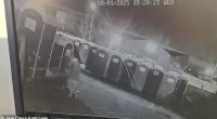 Thieves wheeled a transport trolley over and took the loos one by one