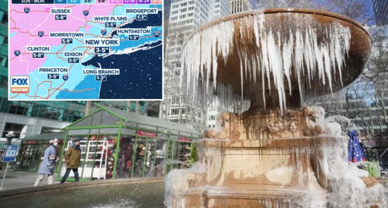 Polar vortex to dump half a foot of snow on NYC, followed by deadly Arctic cold