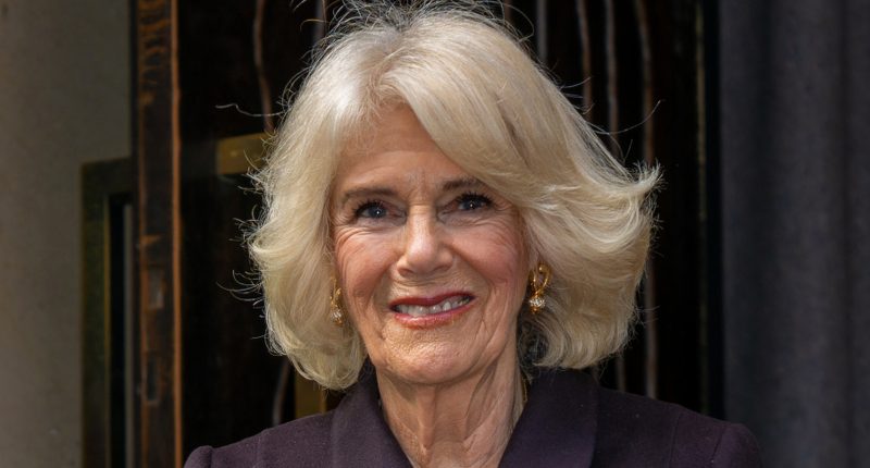 Queen Camilla Has Had Some Embarrassing Makeup Fails