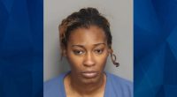 SC Woman Used False Identity to Work as School Teacher, Allegedly Assaulted Child