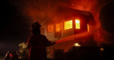 Wiener Brainer: Hey! The Oil Companies Can Pay for the LA Fires!