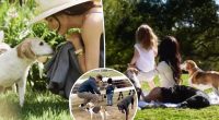 ‘Devastated’ Meghan Markle shares rare home videos of Archie and Lilibet while mourning death of dog Guy