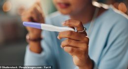 Genea, one of Australia's three leading IVF providers, suffered a cyber attack which leaked past and present patients' information (stock image)