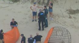 A girl has died after she was bitten by a shark on Bribie Island. Pictured are emergency responders and beachgoers at the scene