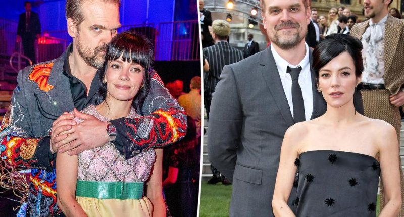 Lily Allen and David Harbour split after 4 years of marriage: report