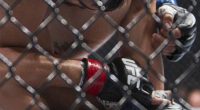 MMA and Free Speech