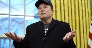 Musk for Governor of New York?