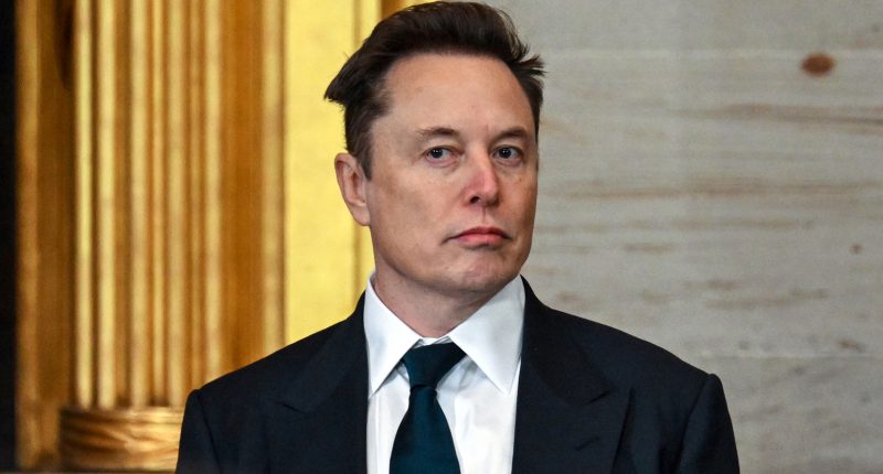 The Tragic Truth About Elon Musk