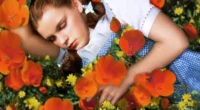 Why ‘Wicked’ Author Gregory Maguire Prefers ‘Alice in Wonderland’ to ‘The Wizard of Oz’