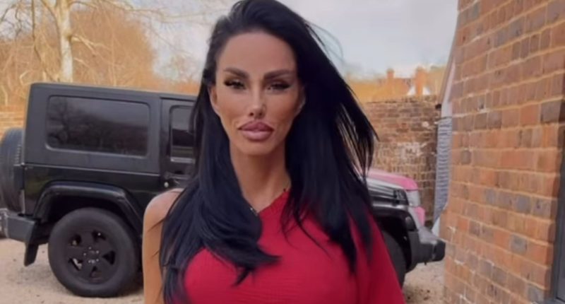 Katie Price fans beg ‘somebody help her’ as her very slim legs spark concern