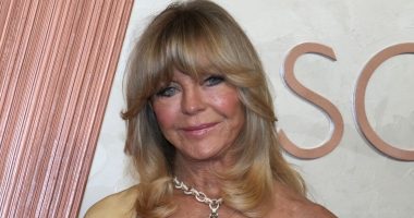 The Tragedy Of Goldie Hawn Gets Sadder And Sadder