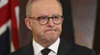 Anthony Albanese said he would cancel planned election campaigning due to the Pope's death but then hosted a press conference shortly after