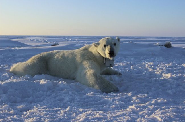 Climate Myths