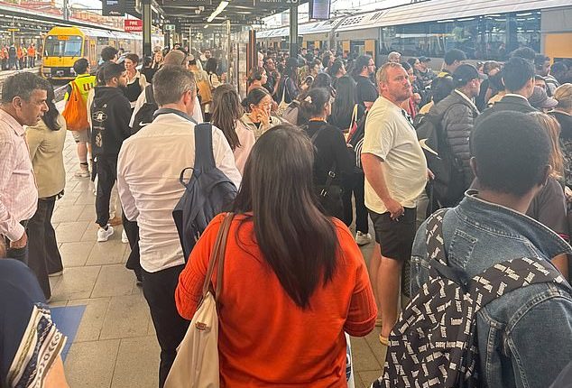 Passengers on a train have been told they will 'get through this together' after a tragic incident on a platform at Sydney's Central Station on Thursday