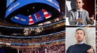 Dems seethe at DNC vice chair David Hogg’s anti-incumbent scheme: ‘Full of you-know-what’