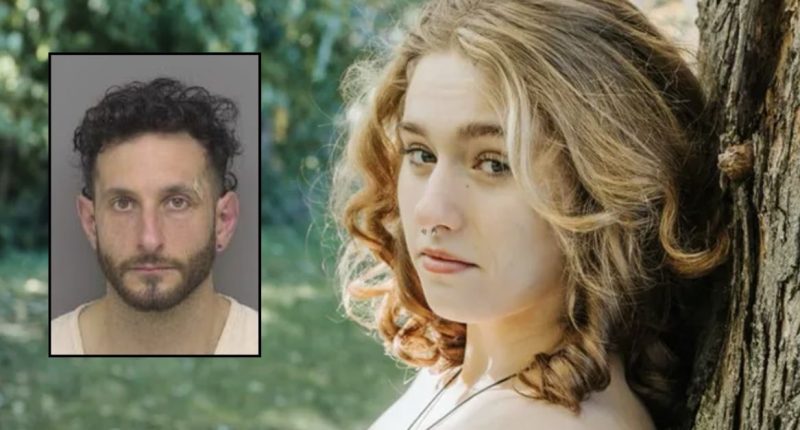 Driver ‘petting his dog’ struck teen on a longboard with his Mini Cooper and left her paralyzed in the middle of the road, police say