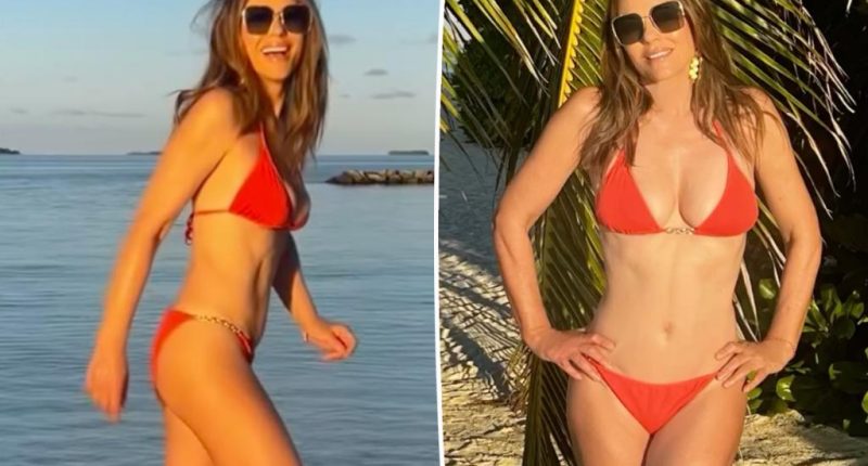 Elizabeth Hurley, 59, soaks up the sun in a tiny red-hot bikini on vacation