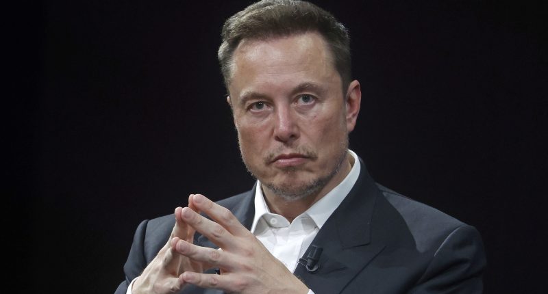Elon Musk May Have Kickstarted A Brutal Feud With Kamala Harris