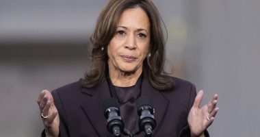 Kamala Harris Falls on Hard Times: ‘If She Ran for Dogcatcher, She’d Lose’