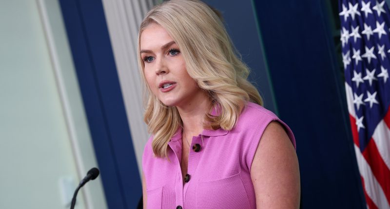 Karoline Leavitt & NBC's Peter Alexander Are Locked In A Bitter Feud