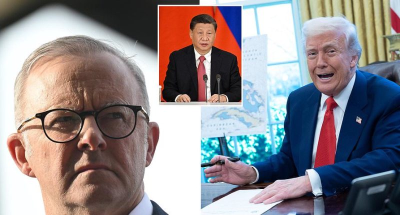 LIVE: Election 2025 - China's Xi makes a staggering offer to Australia over Trump tariff crisis
