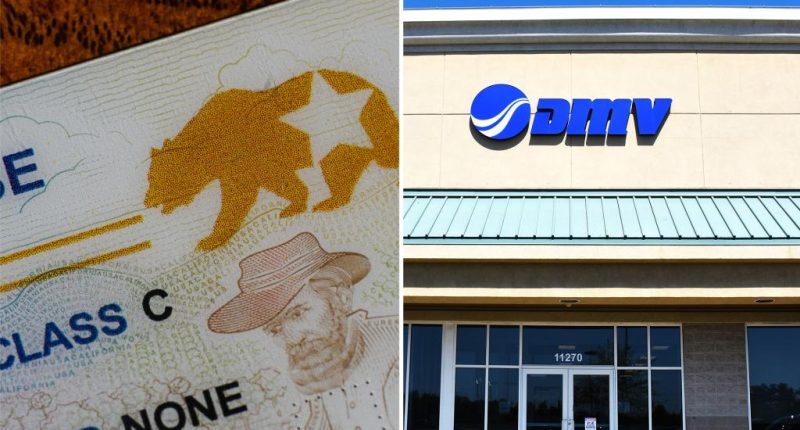 Looming REAL ID deadline causes chaos at DMVs as critics take to social media: ‘What’s next?’