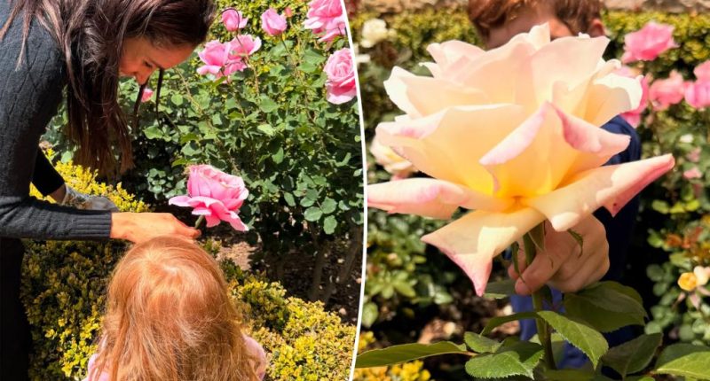 Meghan Markle gives rare glimpse of ‘little loves’ Prince Archie and Princess Lilibet — and their bright red hair