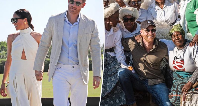 Meghan Markle’s role in Prince Harry’s ‘loss of interest’ in Sentebale charity revealed
