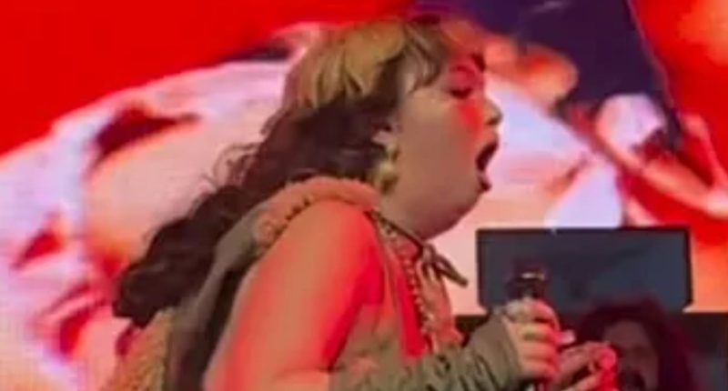 Messy hitmaker Lola Young runs off stage to throw up mid-performance as she makes Coachella debut