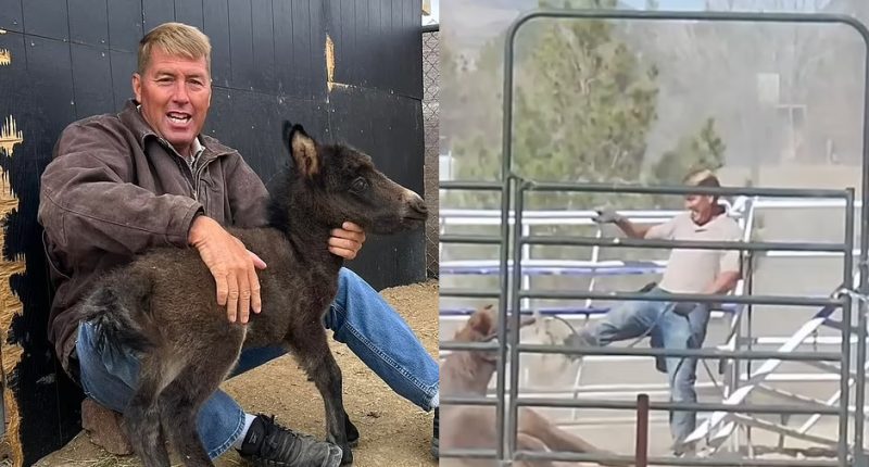 Missing Veterinarian Found Dead in Lake Mead Weeks After He’s Filmed Beating Horse