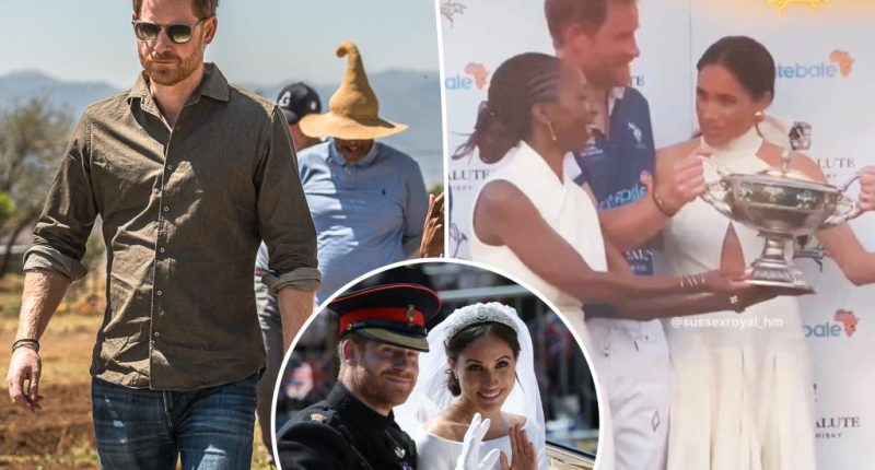 Prince Harry ‘lost interest’ in African charity Sentebale after marrying Meghan Markle, co-founder’s brother says