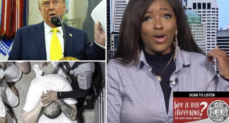 Rep. Jasmine Crockett ripped for claiming Trump is more dangerous than suspected MS-13 gangbanger Kilmar Abrego Garcia