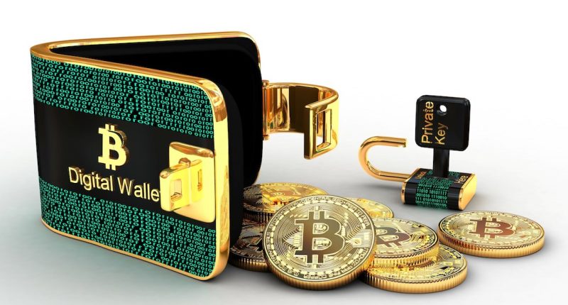 Setting Up a Secure Bitcoin Wallet with Ease