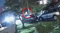 CCTV footage (pictured) has shown the terrifying moment a group of five dragged a mother of two young boys from her home and abducted her