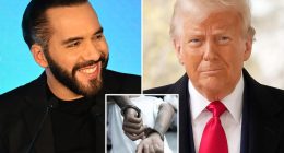 Trump invites president of El Salvador to White House: ‘Your support of my efforts to combat illegal immigration is greatly appreciated’ 