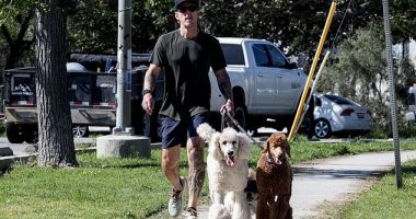 Weezer bassist Scott Shriner (pictured on Wednesday) has said his wife Jillian Lauren is 'alright' hours after being shot by police and arrested for attempted murder