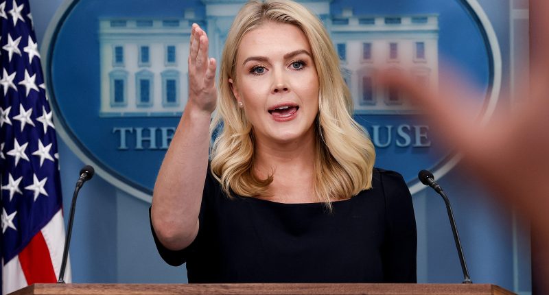 Why MSNBC Host Nicolle Wallace Has Beef With Karoline Leavitt