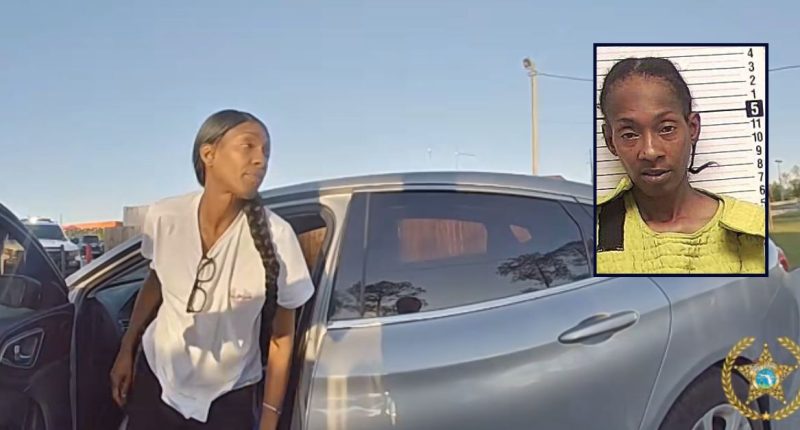 ‘Suffer the consequences of her husband’s actions’: Woman dressed as ICE officer and equipped with walkie-talkie kidnaps ex-boyfriend’s wife, cops say