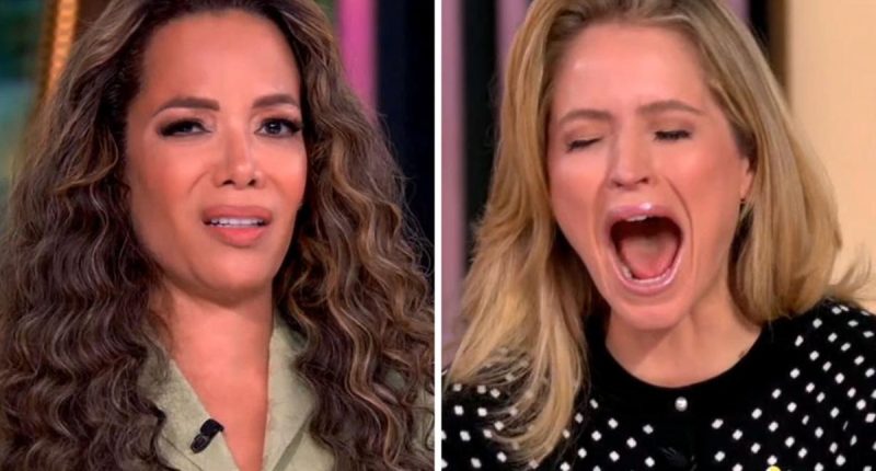 ‘The View’ Appalled By Raunchy Segment About Husbands Hiring Porn Stars To Have Sex With Their Wives: “They Need To Find Jesus!”