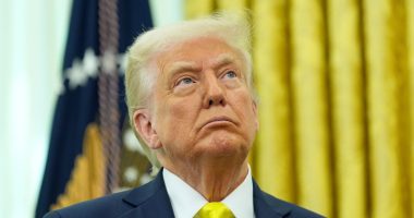 ‘The government is directed not to remove’: Supreme Court slams brakes on Trump’s plans for more summary deportations under obscure wartime law