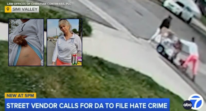 ‘You bring down my property values’: Woman knocks over pregnant street vendor after ordering her to ‘speak English,’ cops say