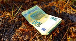 12 Times Tons Of Money Was Dumped In Public