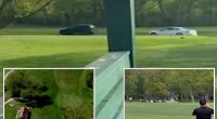 70-year-old golfer struck by SUV in crazy, caught-on-video car chase on Chicago golf course